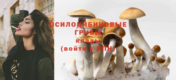 Альфа ПВП Абдулино