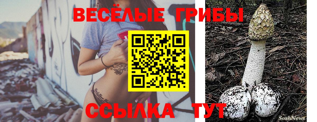 Галлюциногенные грибы прущие грибы  Вход с VPN  Электросталь  Псилоцибиновые грибы ЛСД 